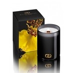 Dayna Decker Ароматическая свеча с деревянным фитилем Лайни