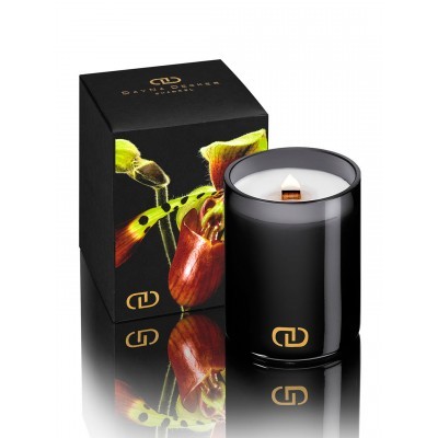 Dayna Decker Ароматическая свеча с деревянным фитилем Коа