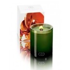 Dayna Decker Ароматическая свеча с деревянным фитилем Клементина малая