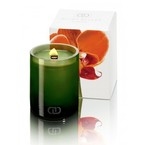 Dayna Decker Ароматическая свеча с деревянным фитилем Клементина