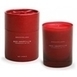 Archipelago Свеча в подарочной коробке Красный амариллис