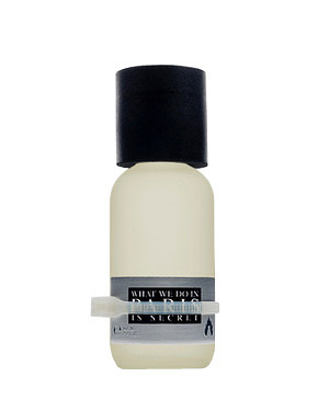 A Lab on Fire What We Do In Paris Is Secret