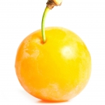 слива мирабель