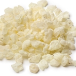 мастиковое дерево