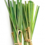 пальмароза